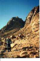 52 Monte Sinai 10.jpg